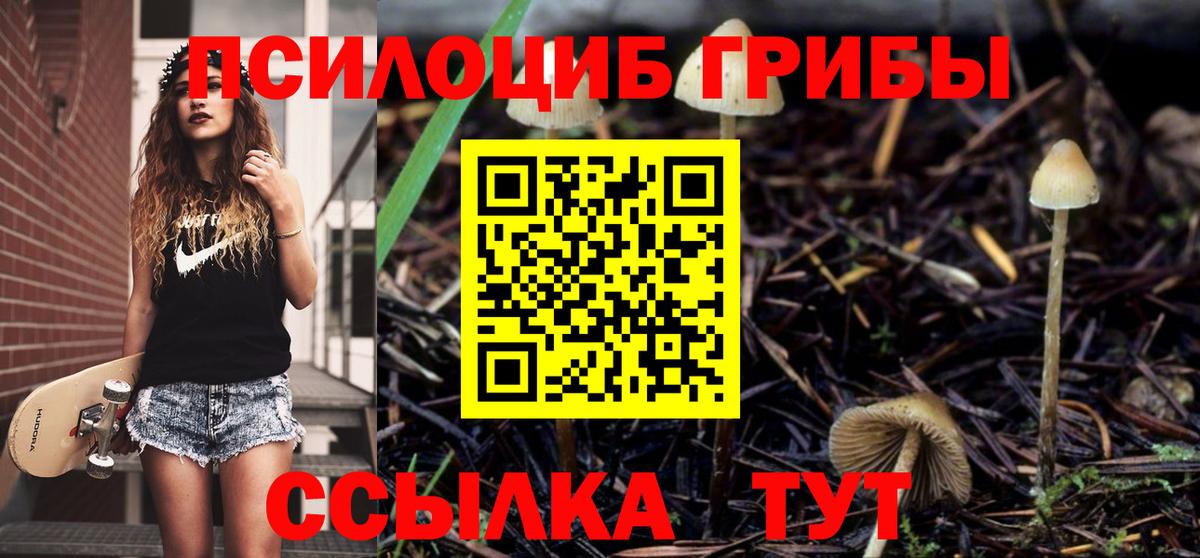 Галлюциногенные грибы MAGIC MUSHROOMS  Вход с VPN  купить наркоту  Кохма 