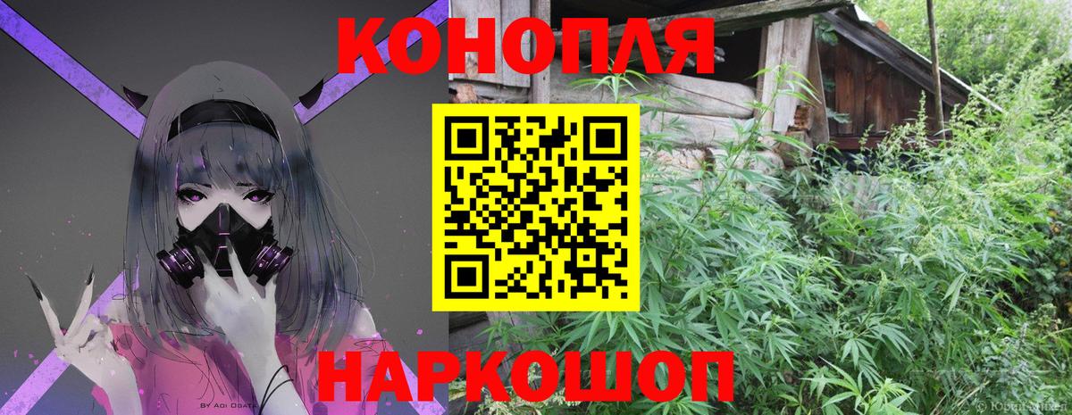 Шишки марихуана сатива Кохма
